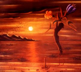 Desideri nascosti Volo