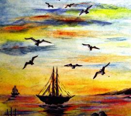 Vele e volo alla sera