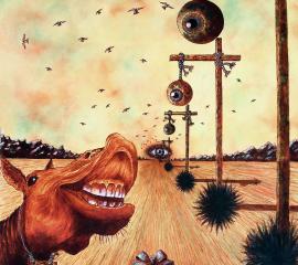 A Caval Donato....!Non guardare in bocca...!