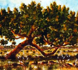 La Giara-Guardia Sull'Altopiano