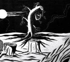 Il pianto della natura che muore